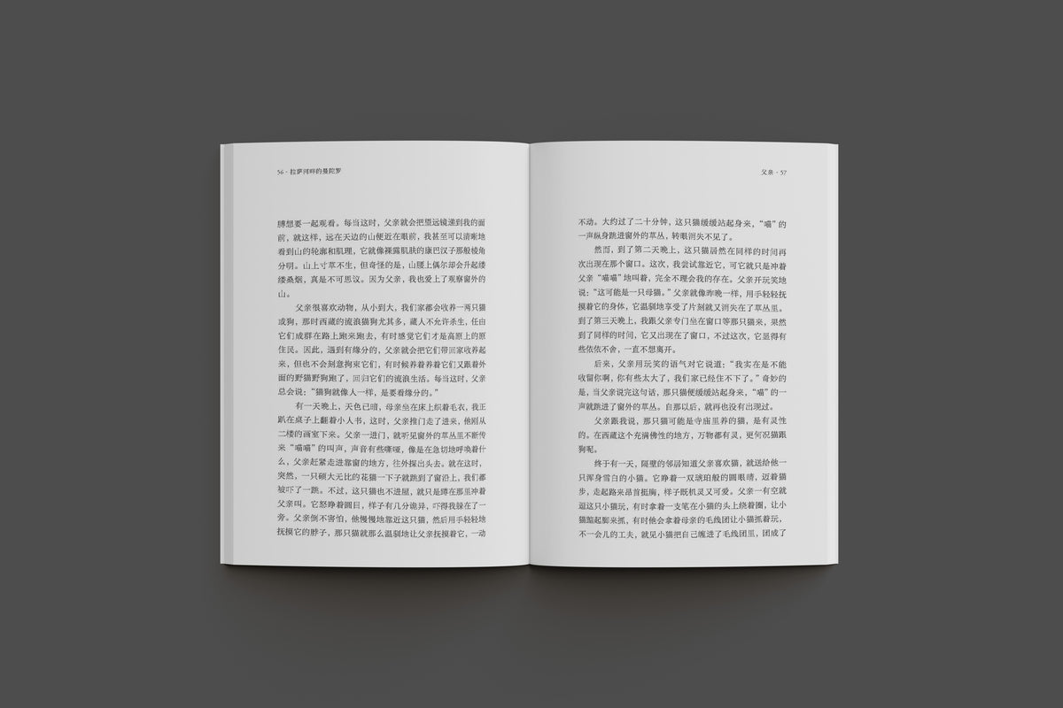 拉薩河畔的曼陀羅