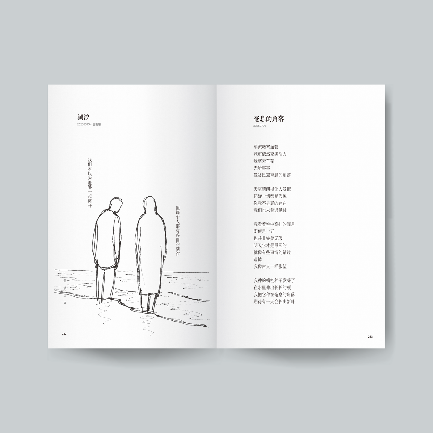 鹽漬焰火