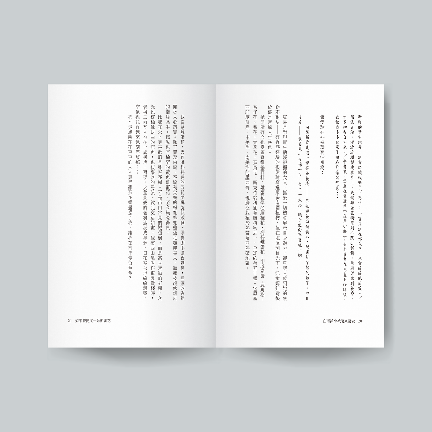 在南洋小城蕩來蕩去