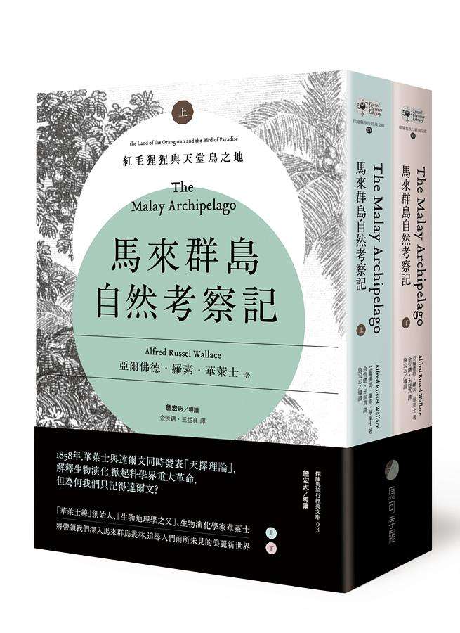 馬來群島自然考察記: 紅毛猩猩與天堂鳥之地 上下 (第2版/2冊合售)