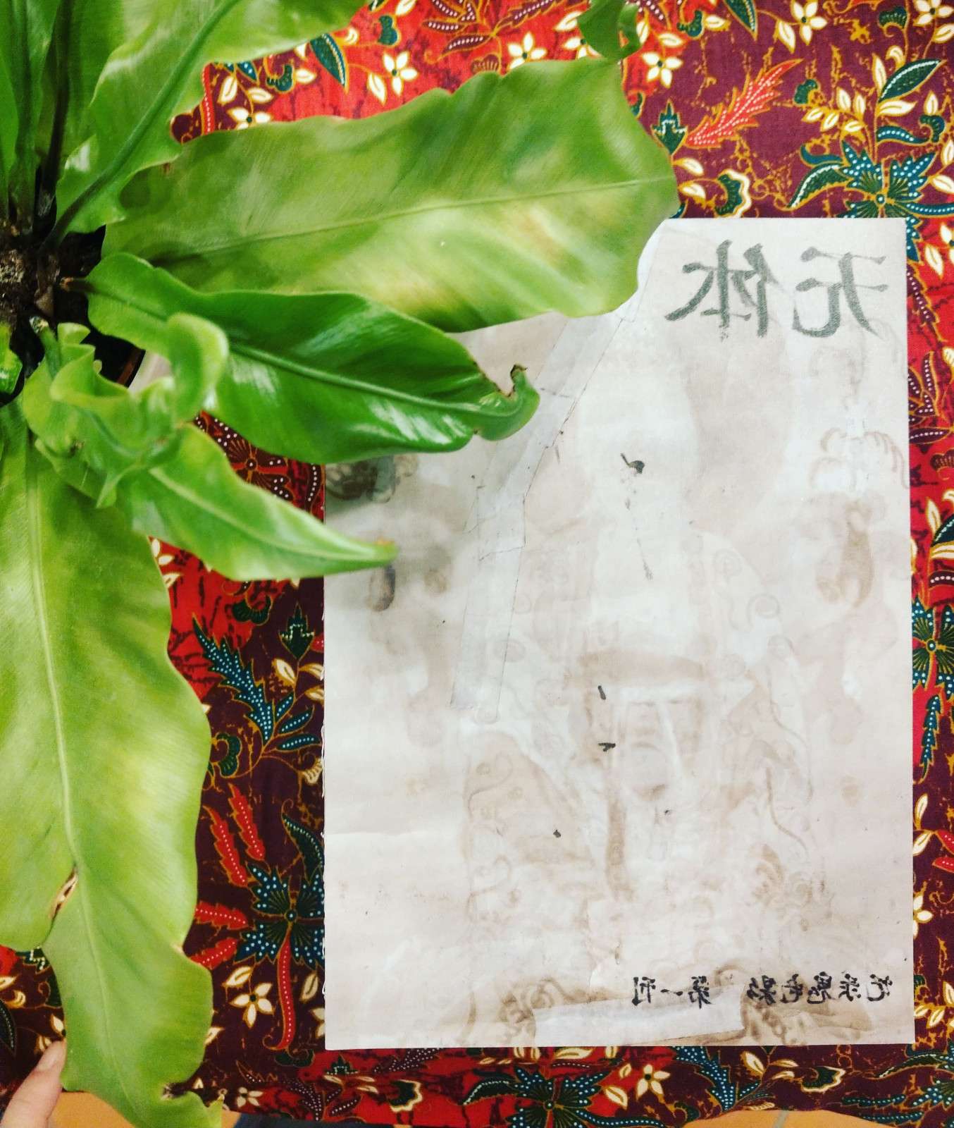 無本(三期)