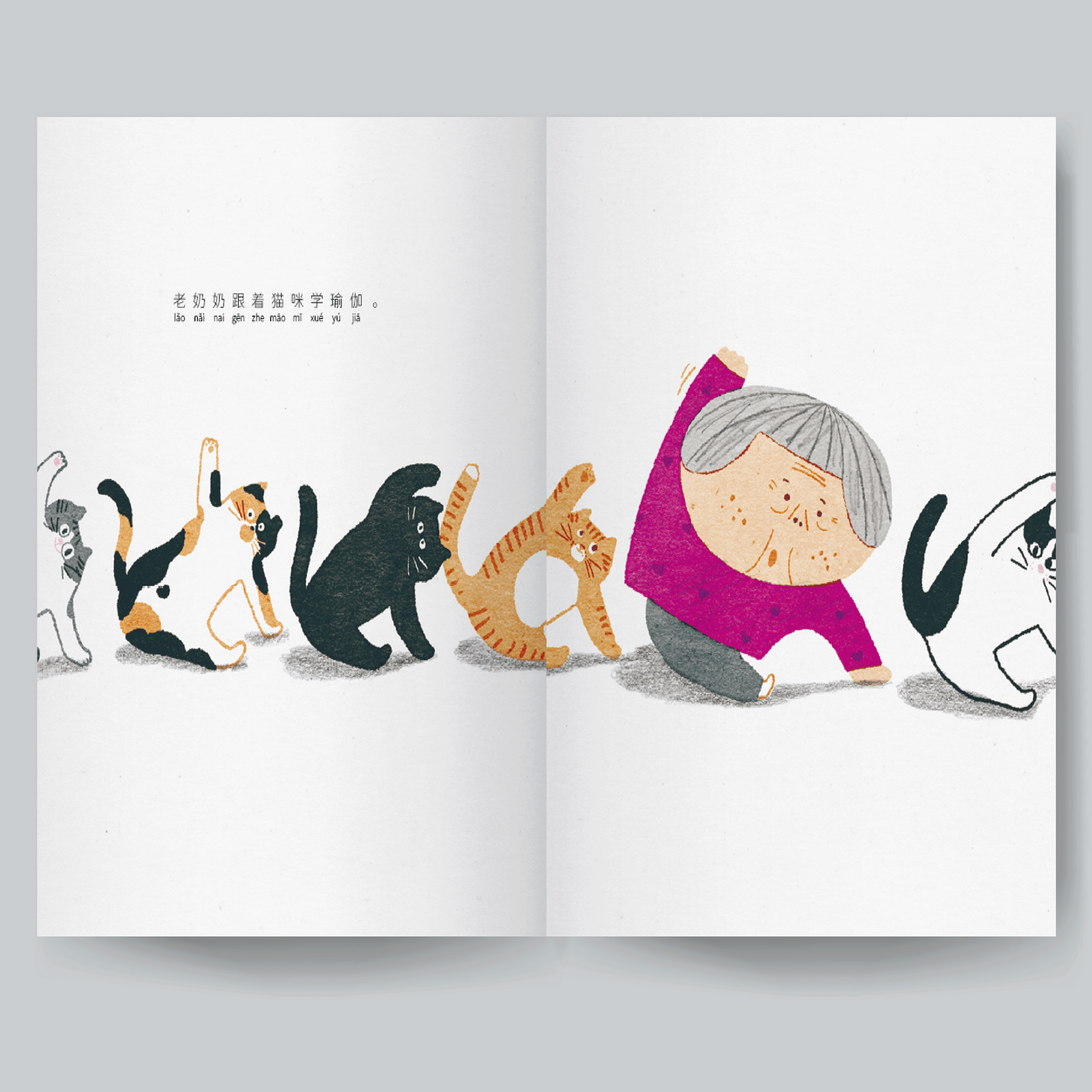 貓房子（預購）