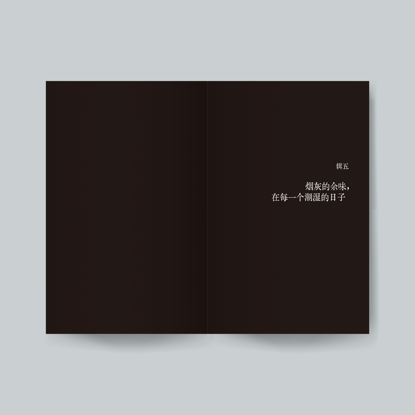 鹽漬焰火