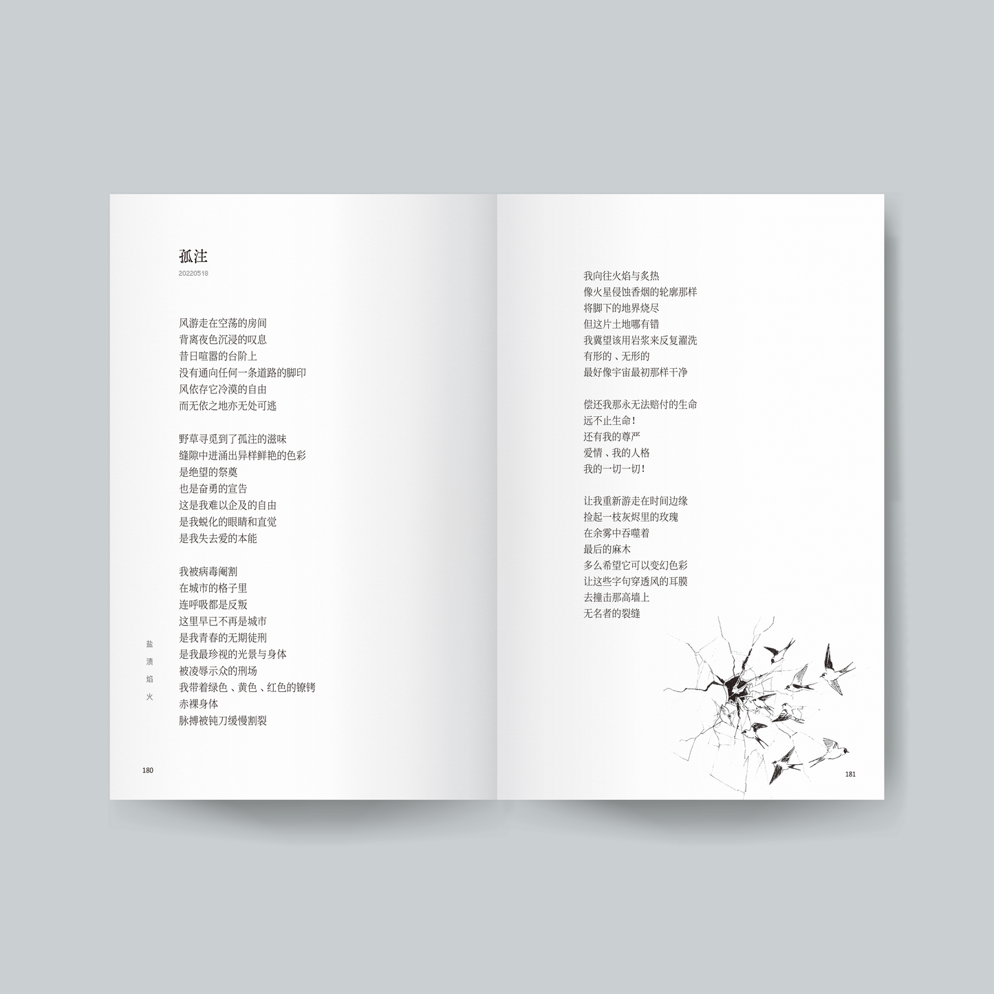 鹽漬焰火