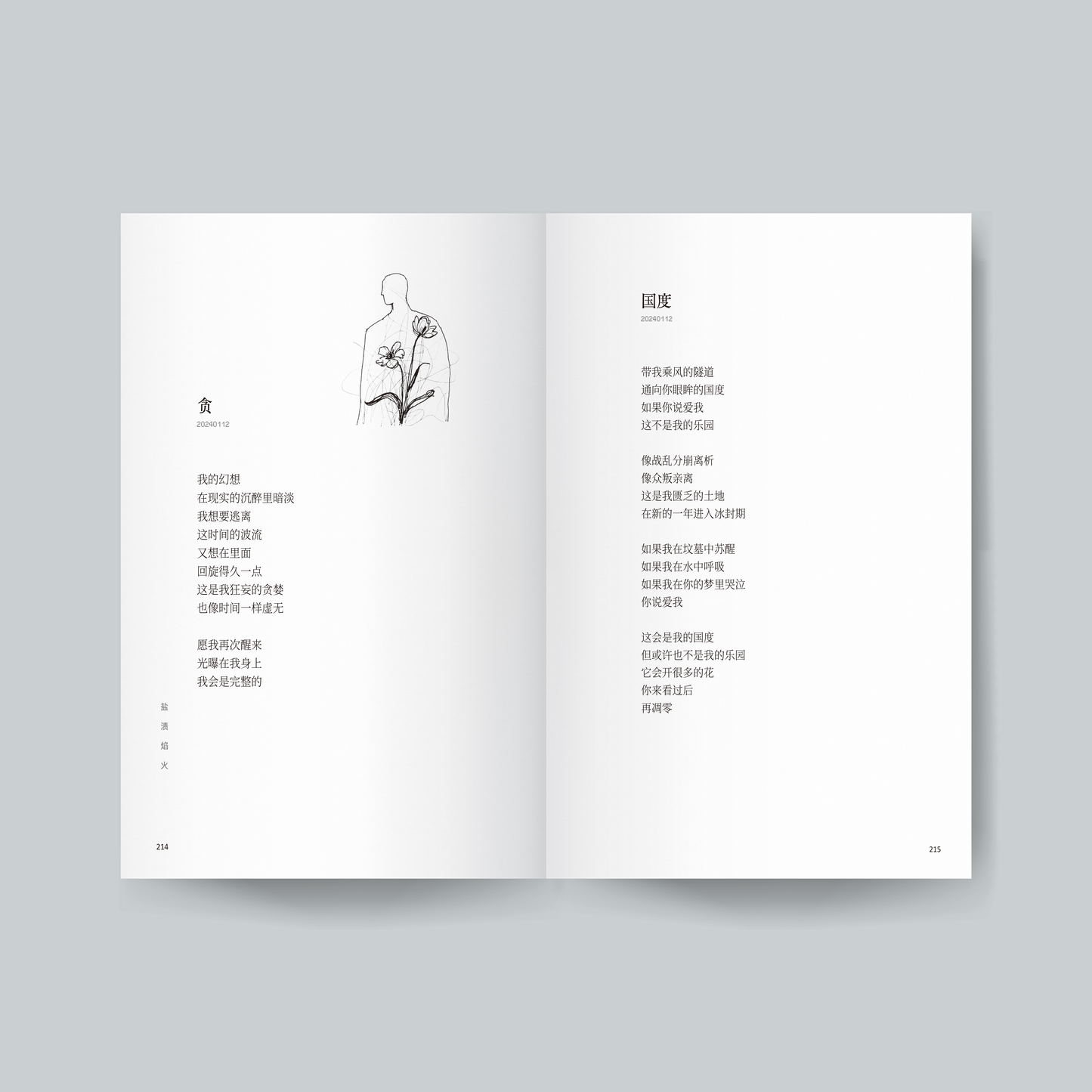 鹽漬焰火