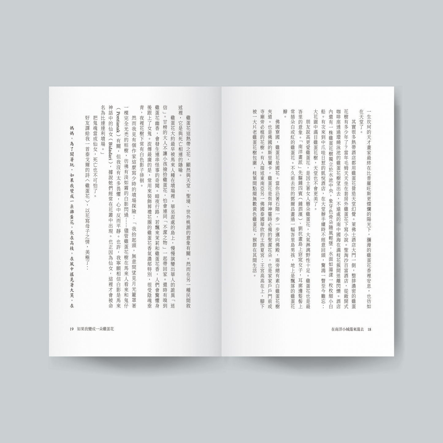 在南洋小城蕩來蕩去